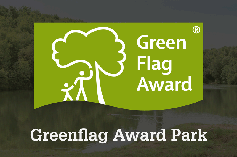 Green Flag logo