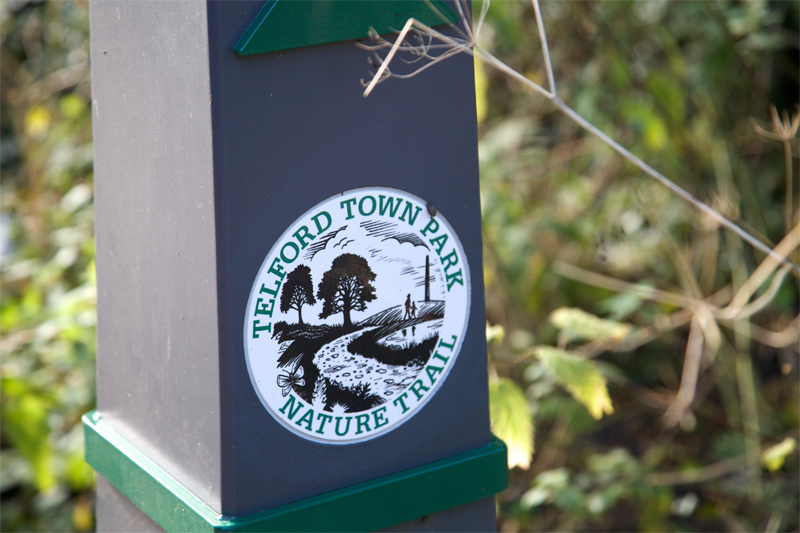 Image of the Telford Town Park Nature trail