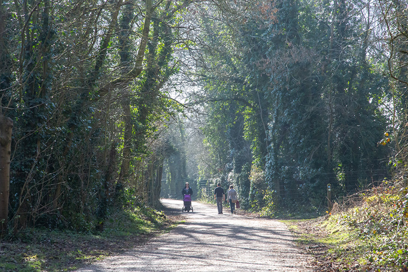 Walking trails